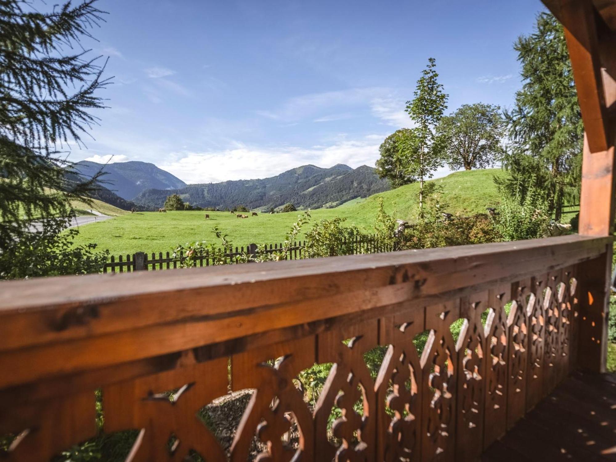 Naturpark Chalet Schladming-Dachstein Grosssolk Екстер'єр фото