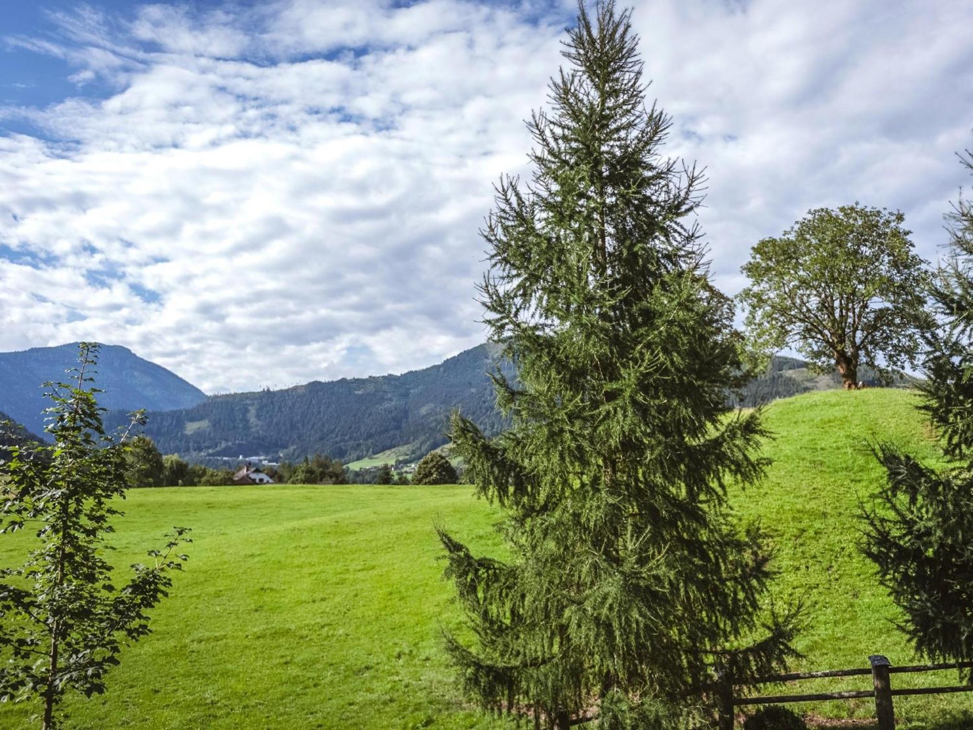 Naturpark Chalet Schladming-Dachstein Grosssolk Екстер'єр фото
